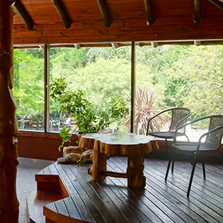 Sala de estar con vista al parque